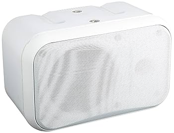 Amazon.co.jp: MASSIVE マッシブ 天吊形 120mmフルレンジ